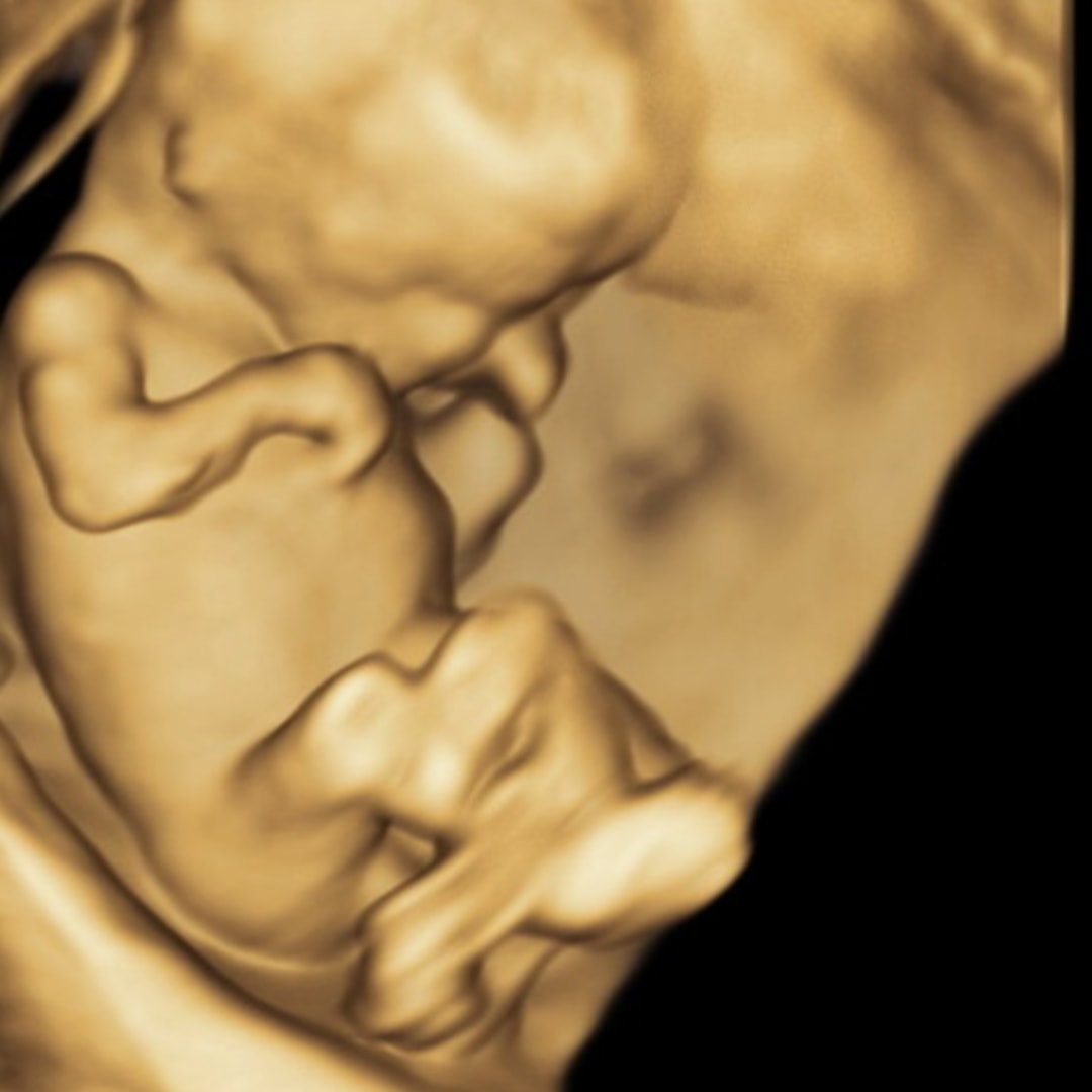 Photo shared by Takylia for their Babylist baby registry.