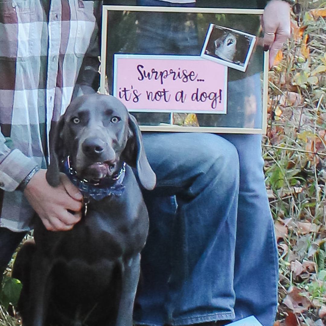 Photo shared by Kelly for their Babylist baby registry.