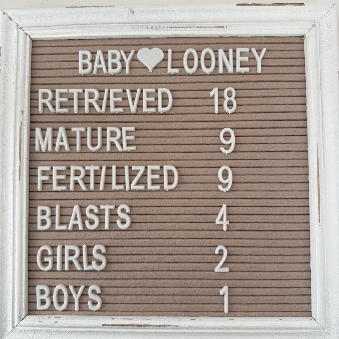 Photo shared by Halleigh for their Babylist baby registry.