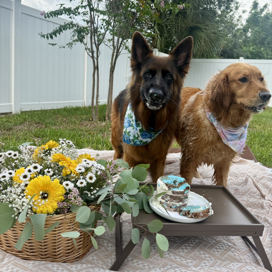 Photo shared by Laura for their Babylist baby registry.