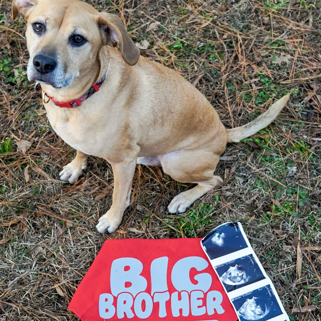 Photo shared by Joleen for their Babylist baby registry.