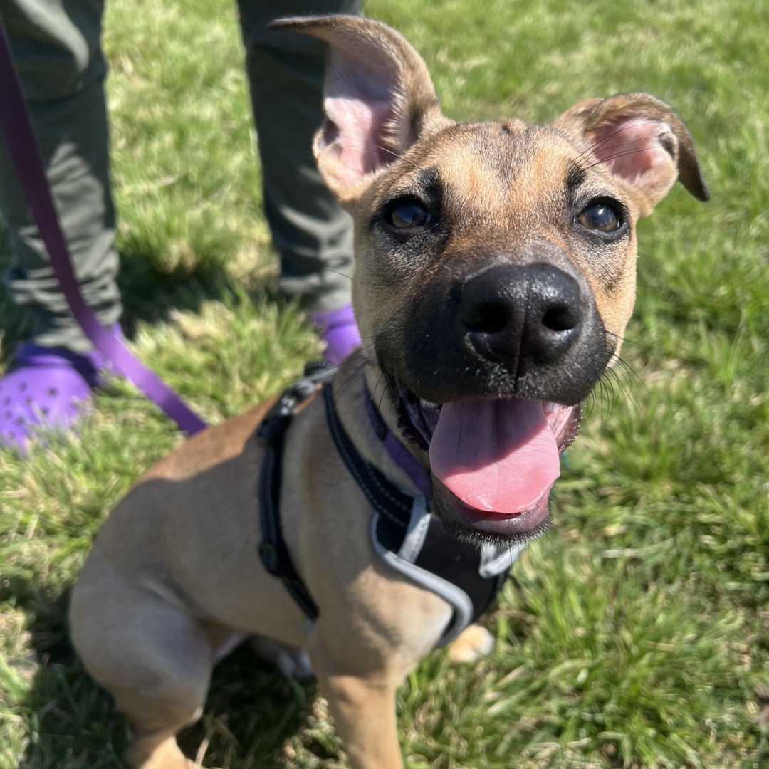 Photo shared by Sam for their Babylist baby registry.