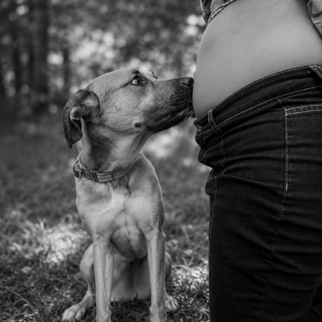 Photo shared by Miranda for their Babylist baby registry.