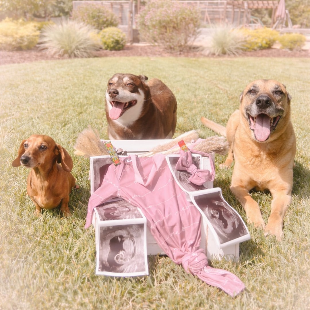 Photo shared by Christi for their Babylist baby registry.
