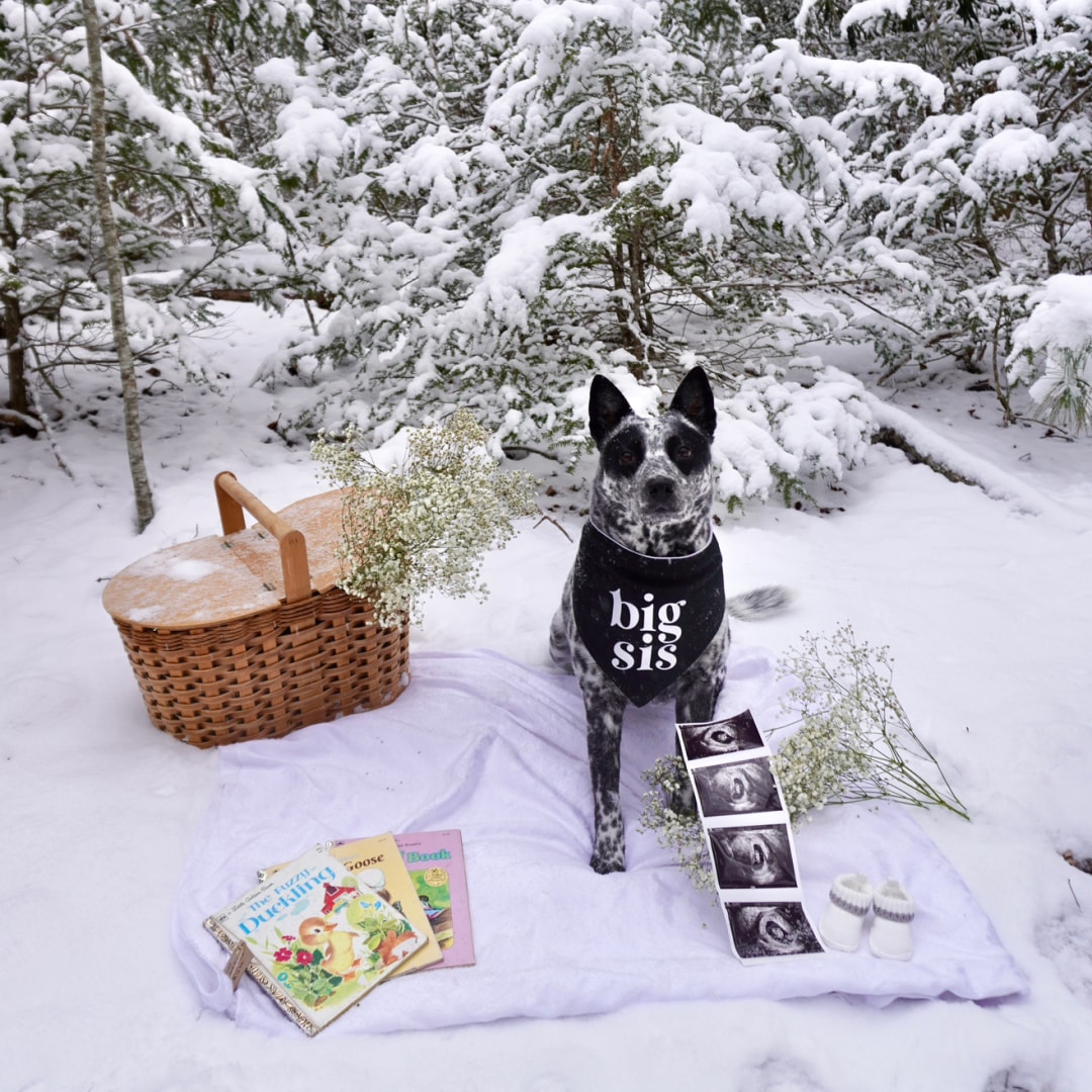 Photo shared by Randi for their Babylist baby registry.