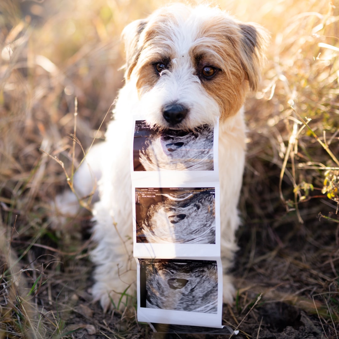 Photo shared by Parker for their Babylist baby registry.