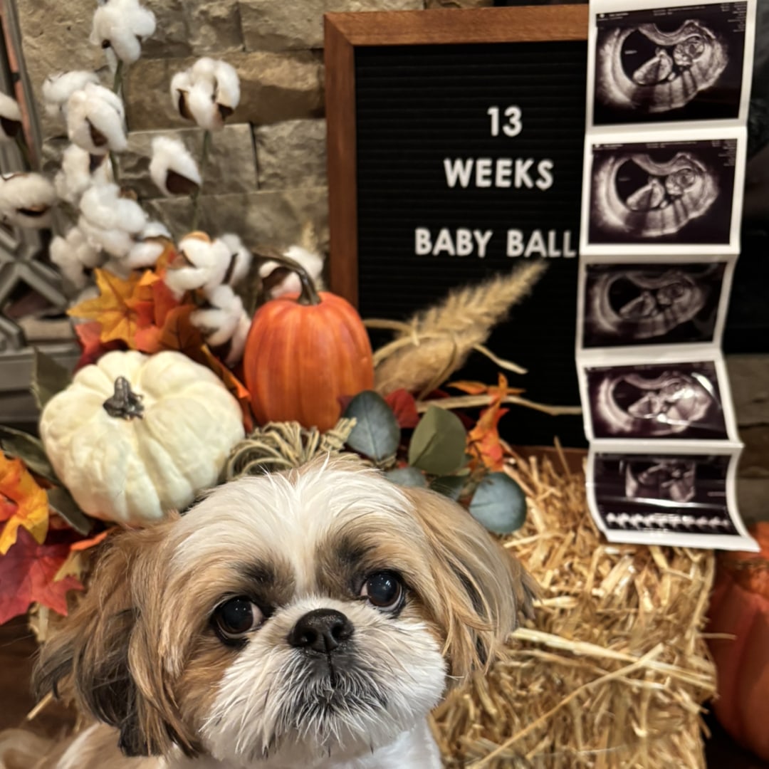 Photo shared by Jade for their Babylist baby registry.