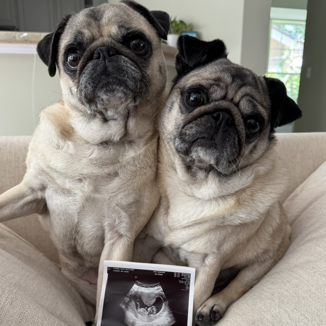 Photo shared by Julia for their Babylist baby registry.