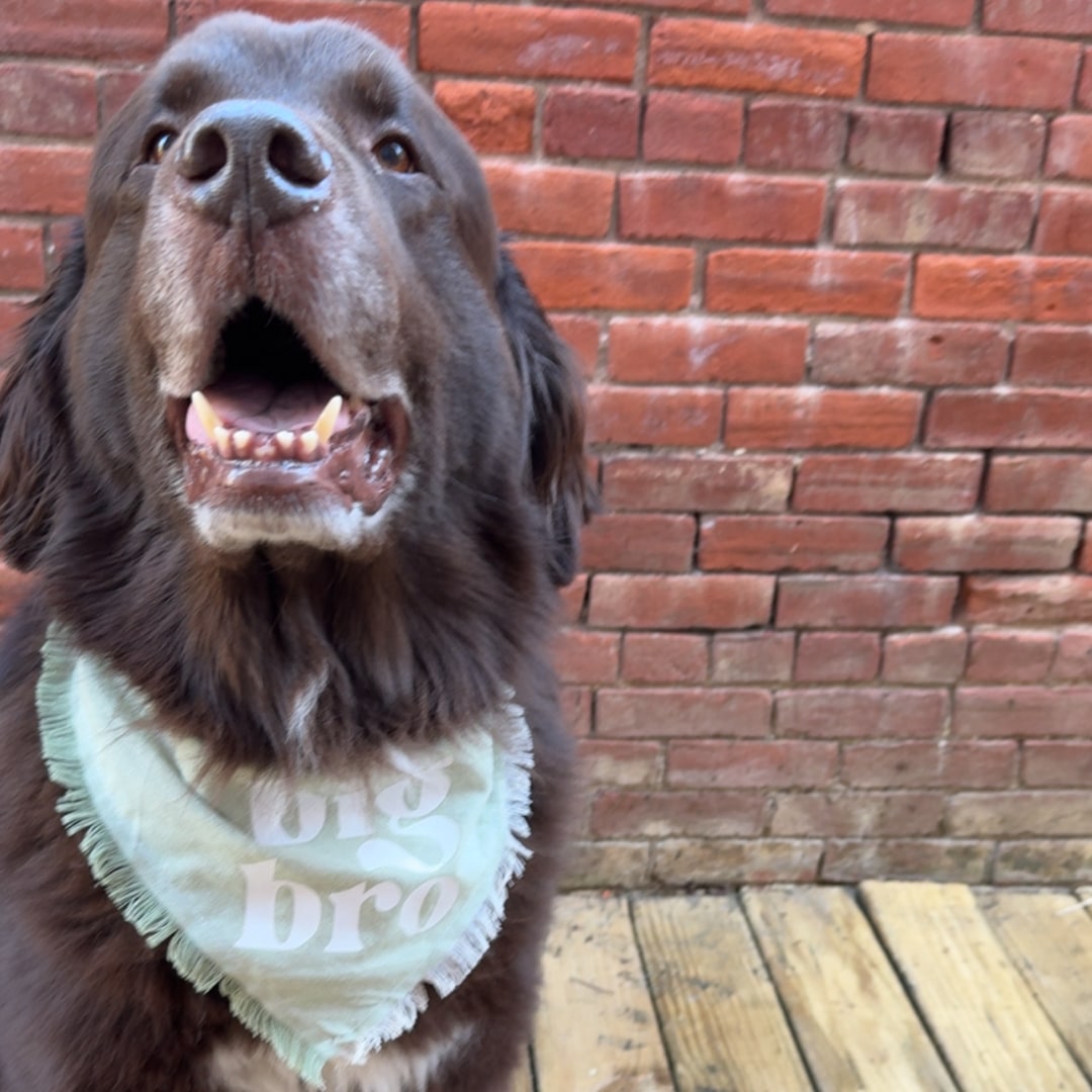 Photo shared by Morgan for their Babylist baby registry.