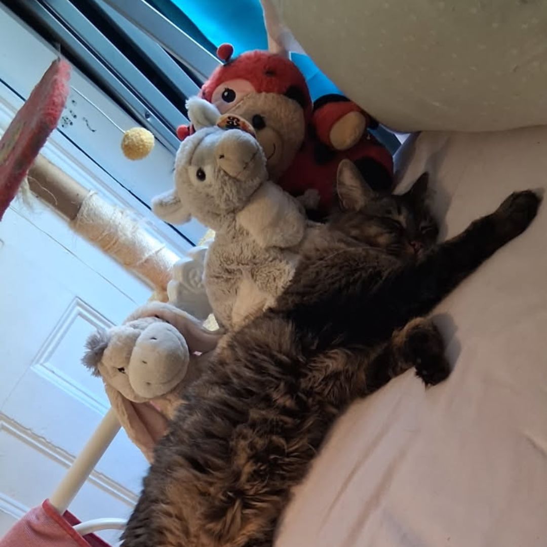 Photo shared by Giseel for their Babylist baby registry.