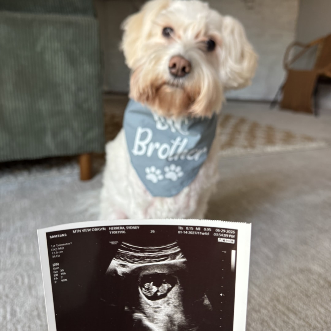 Photo shared by Sydney for their Babylist baby registry.