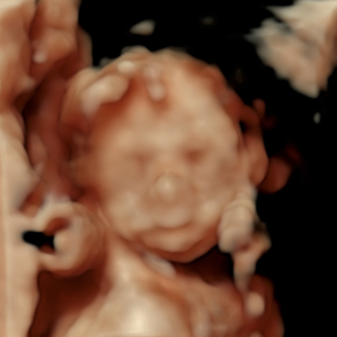 Photo shared by Samantha for their Babylist baby registry.