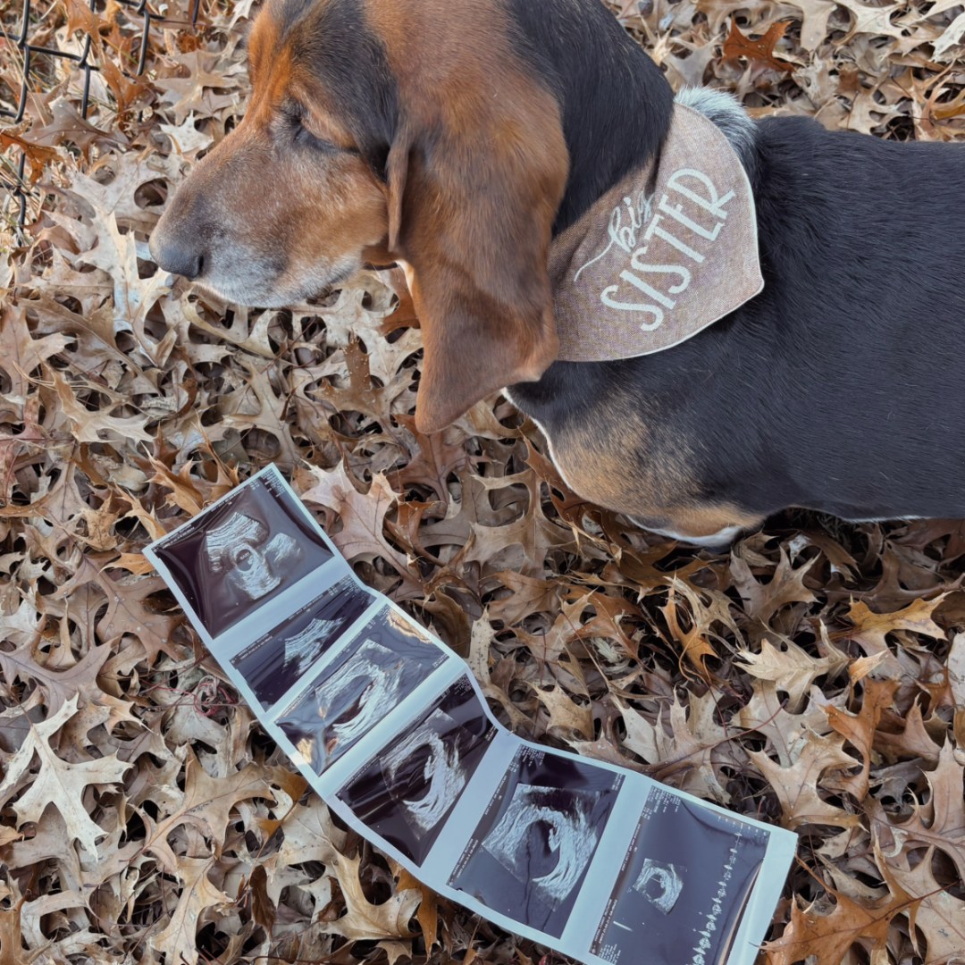 Photo shared by Charis for their Babylist baby registry.