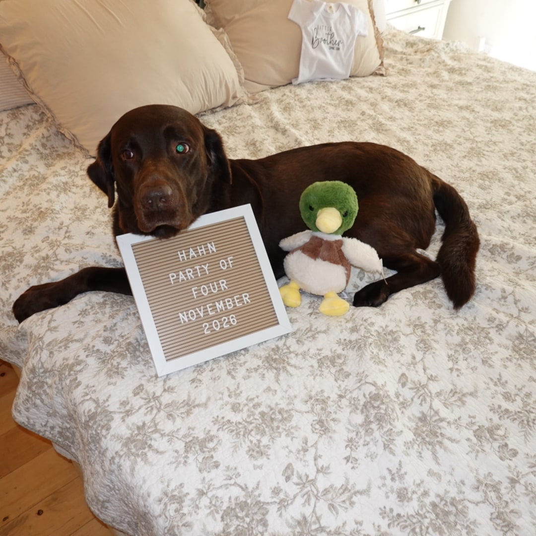 Photo shared by Lauren for their Babylist baby registry.