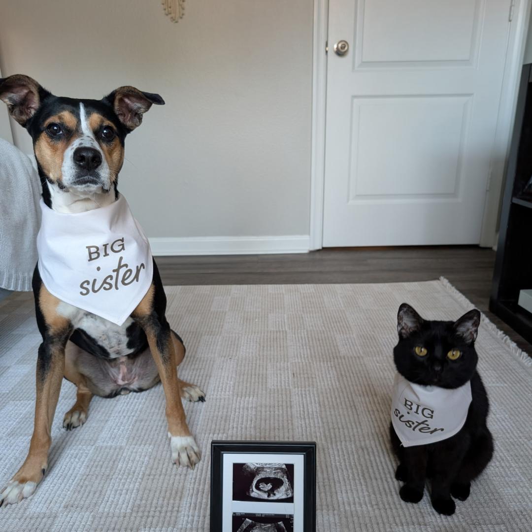 Photo shared by Julia for their Babylist baby registry.