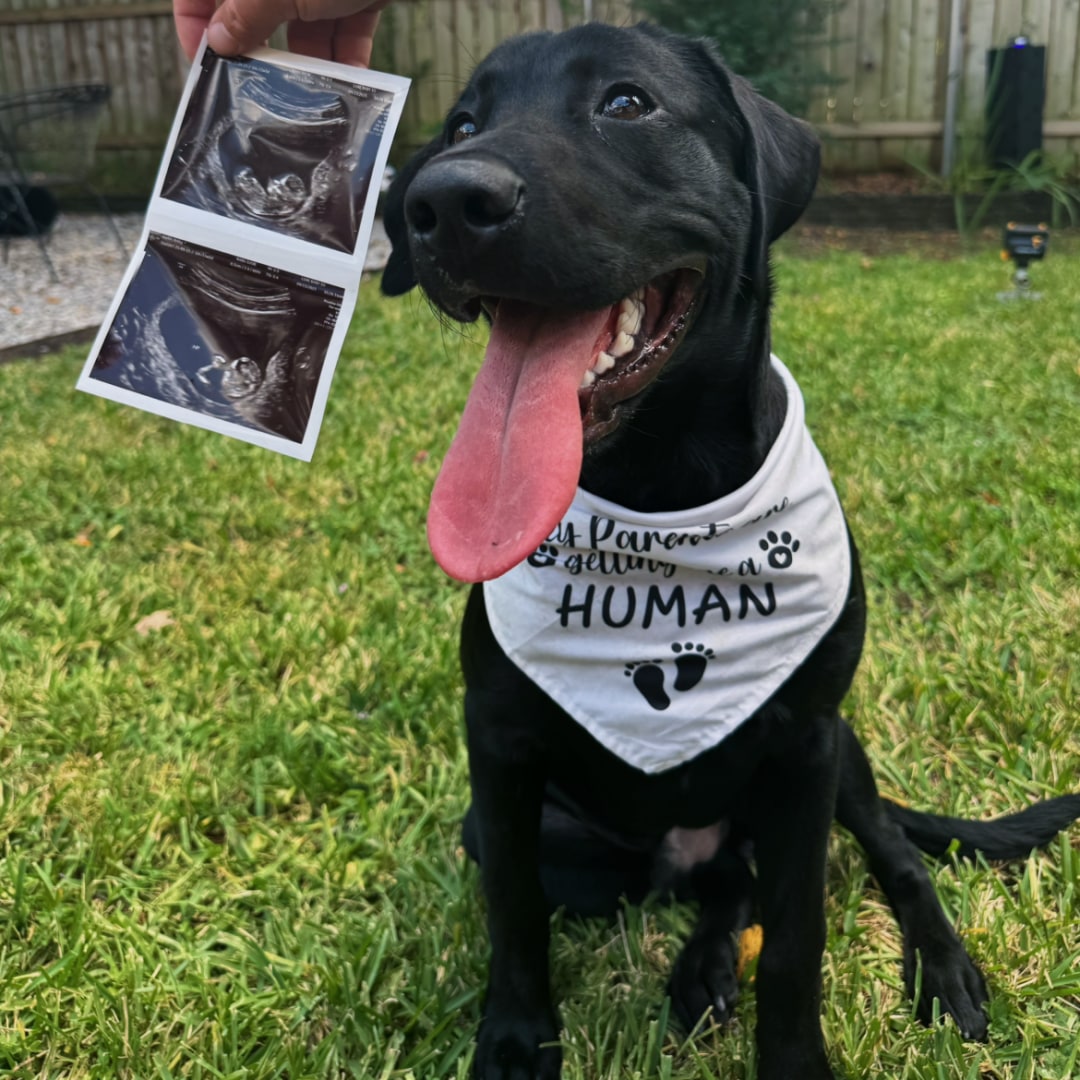 Photo shared by Brooke for their Babylist baby registry.