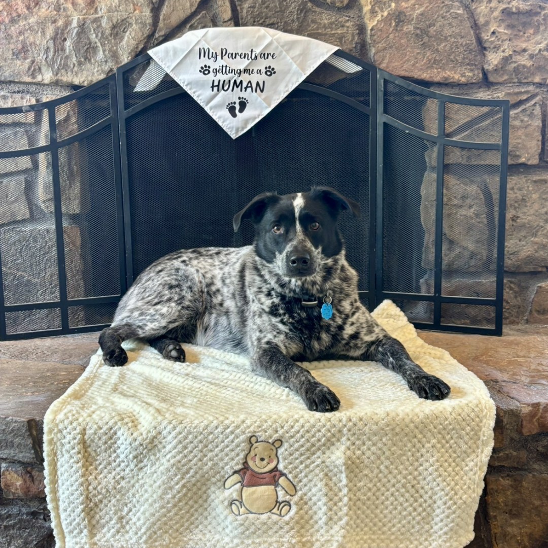 Photo shared by Amber for their Babylist baby registry.