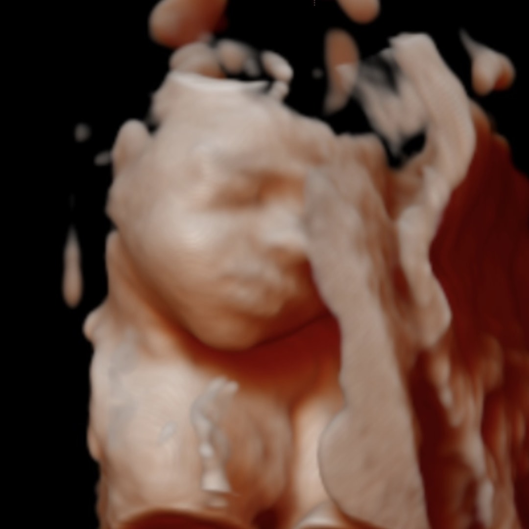 Photo shared by Aleigha for their Babylist baby registry.