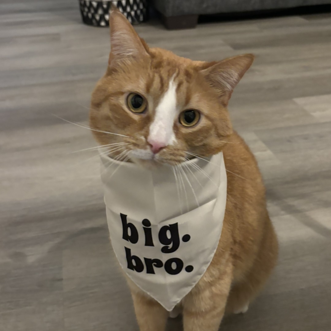 Photo shared by Alyssa for their Babylist baby registry.