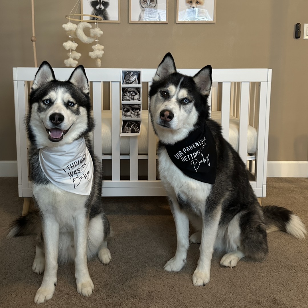 Photo shared by Arianna for their Babylist baby registry.