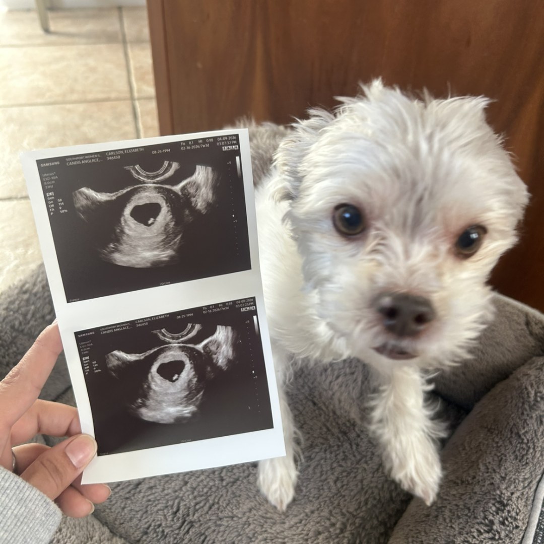 Photo shared by Elizabeth Homola for their Babylist baby registry.