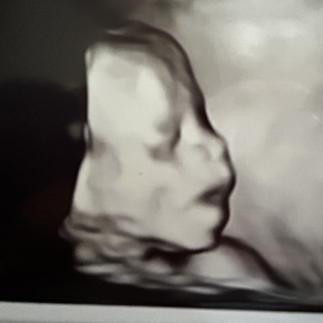 Photo shared by Chelsea for their Babylist baby registry.