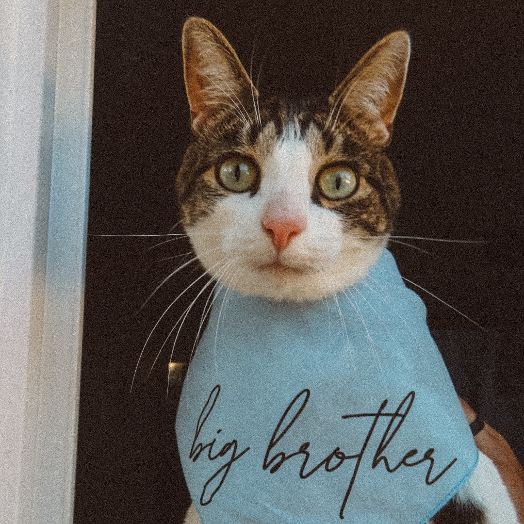 Photo shared by Macy for their Babylist baby registry.