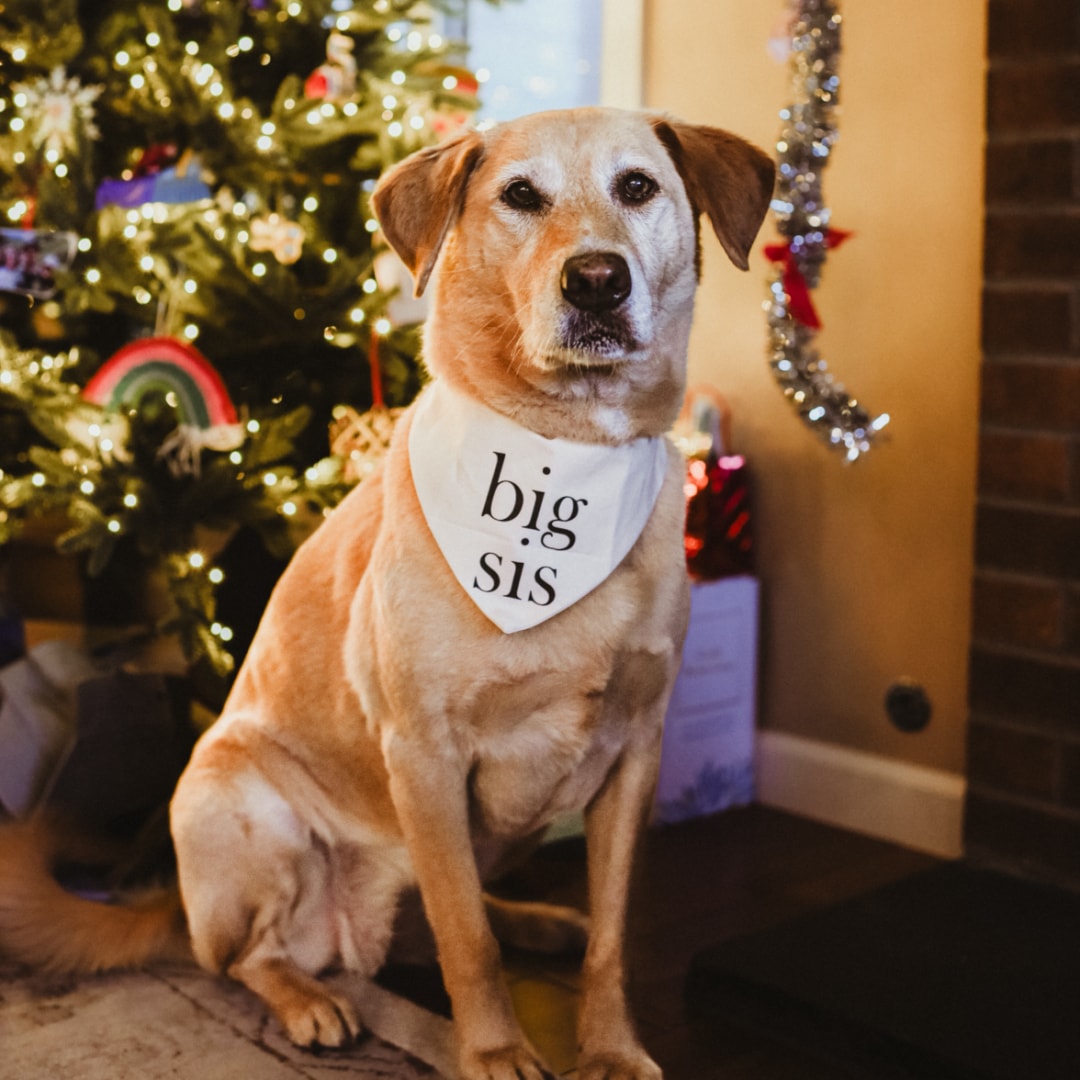 Photo shared by Heather for their Babylist baby registry.