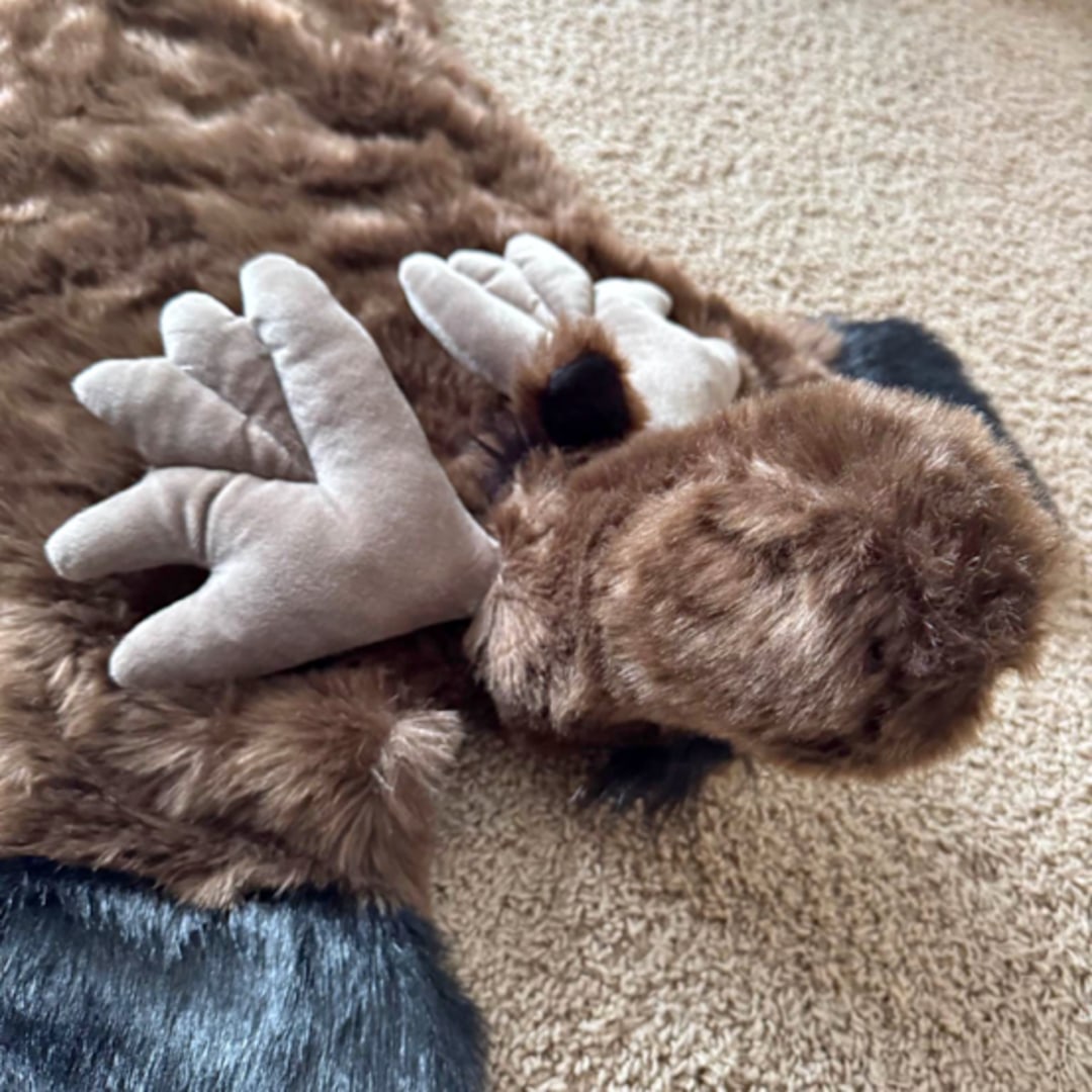 Photo shared by Haley for their Babylist baby registry.