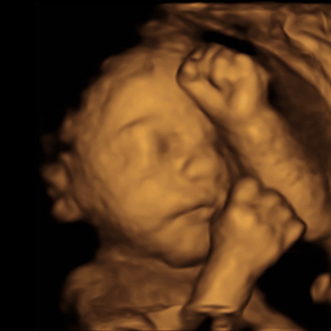 Photo shared by Abbye for their Babylist baby registry.