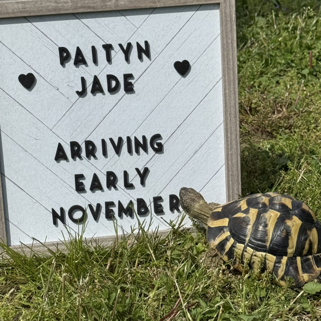 Photo shared by Kelsey for their Babylist baby registry.