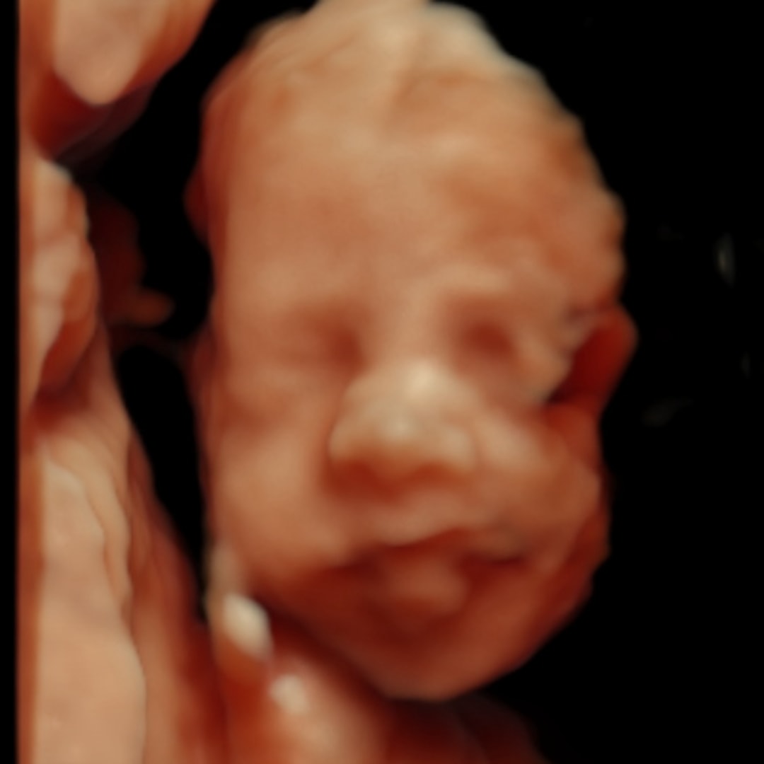 Photo shared by Victoria for their Babylist baby registry.