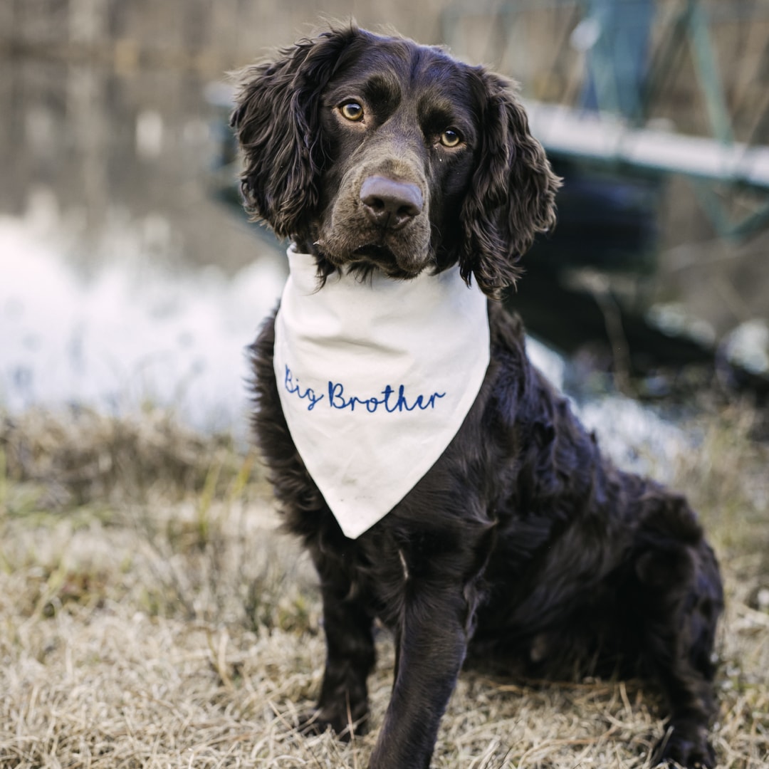 Photo shared by Abbigail for their Babylist baby registry.