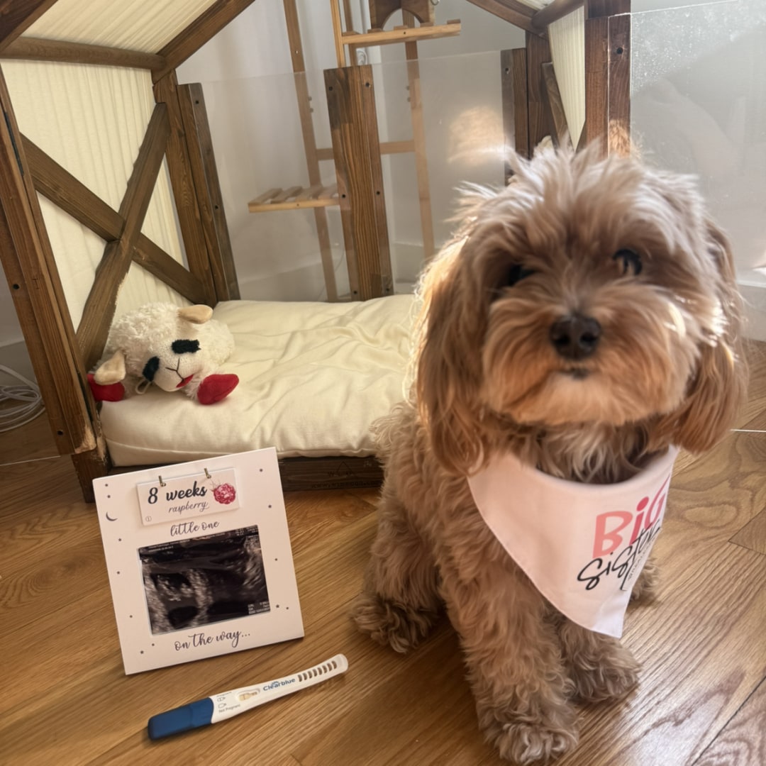 Photo shared by Carmen for their Babylist baby registry.