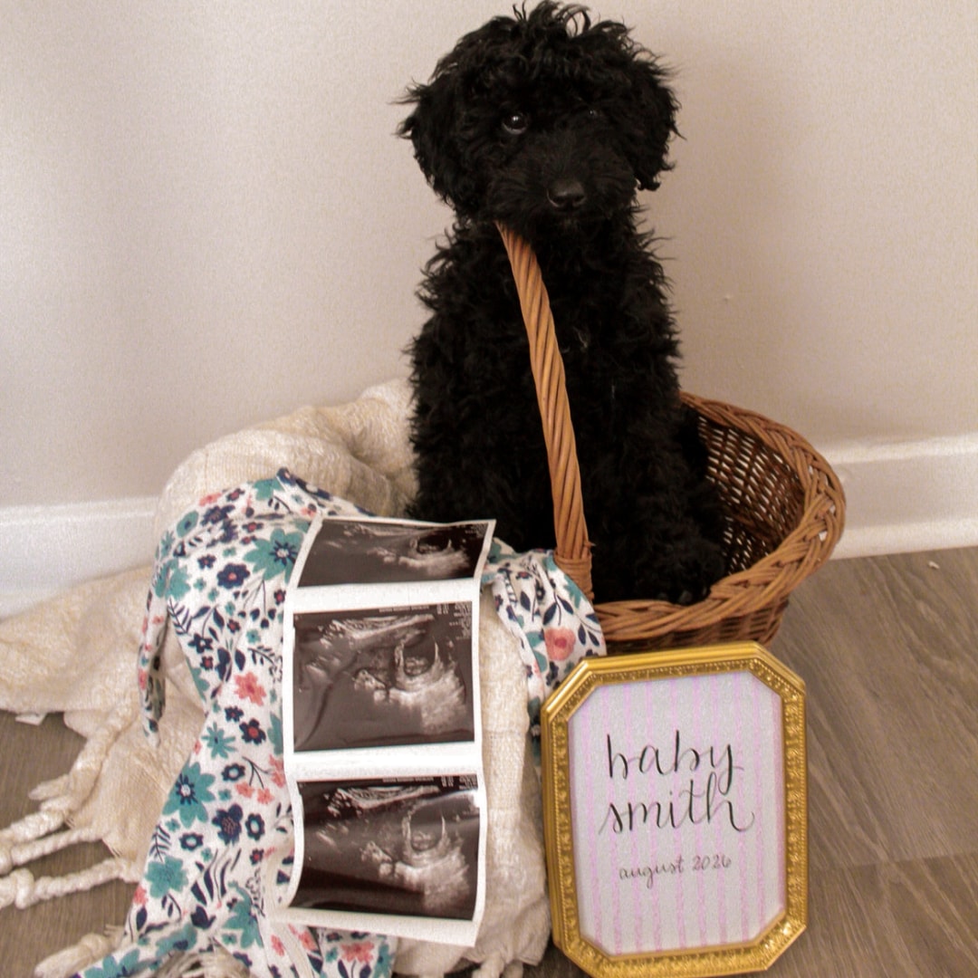 Photo shared by Alisha for their Babylist baby registry.