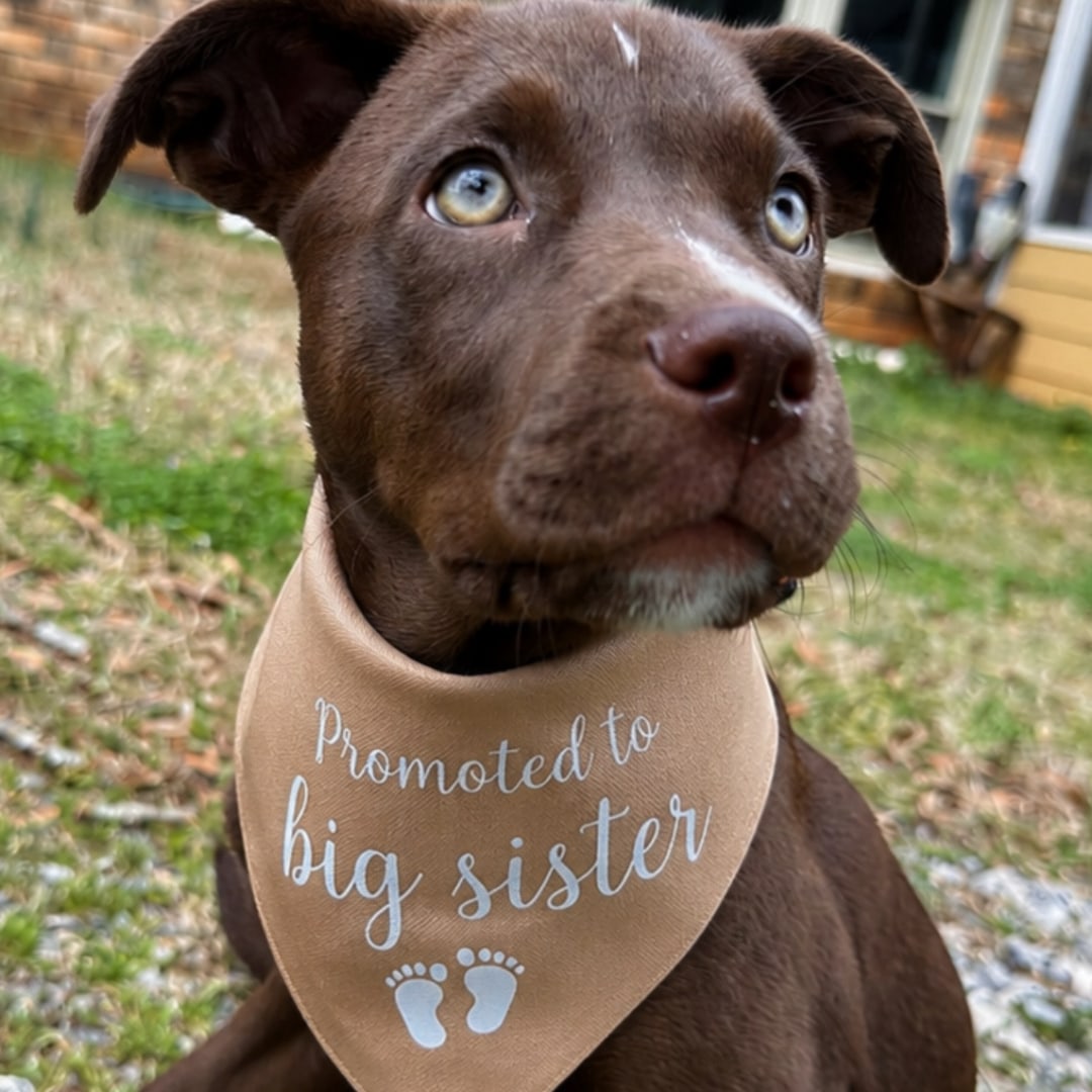 Photo shared by Anna for their Babylist baby registry.