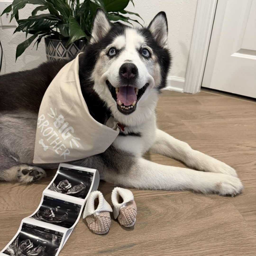 Photo shared by Anjali for their Babylist baby registry.