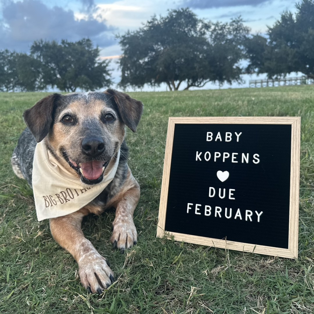 Photo shared by Shelby for their Babylist baby registry.