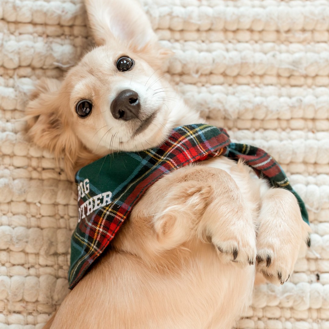 Photo shared by Sabrina for their Babylist baby registry.