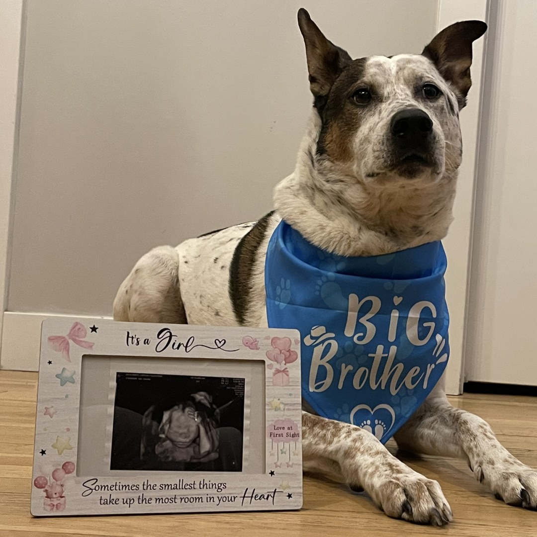 Photo shared by Cerissa for their Babylist baby registry.