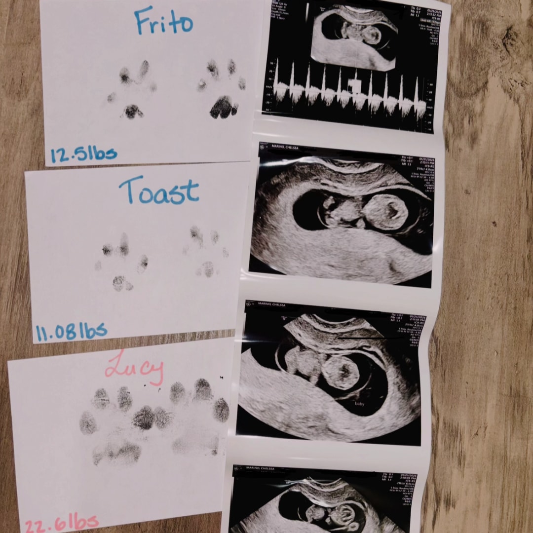 Photo shared by Chelsea for their Babylist baby registry.