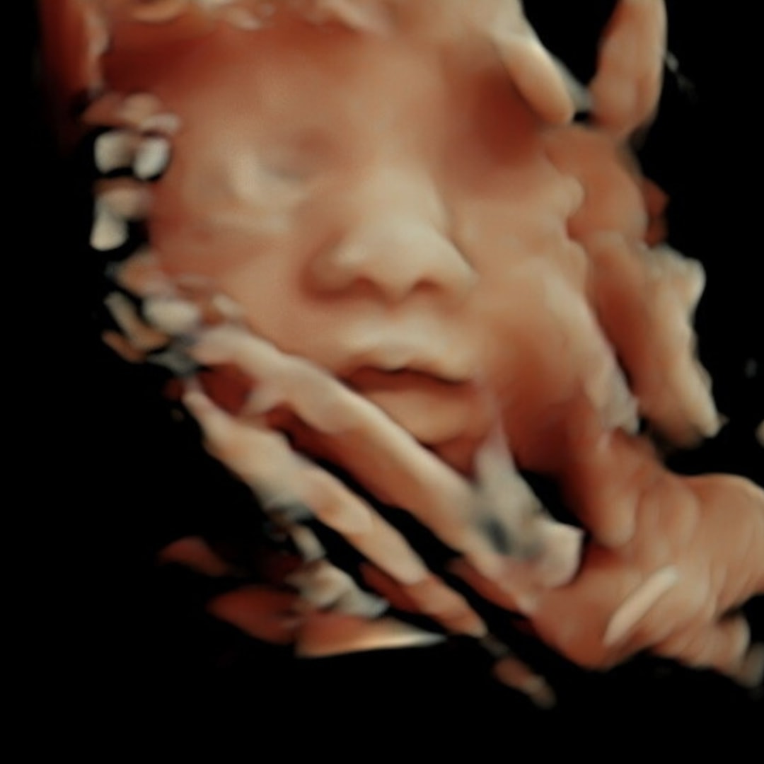 Photo shared by Kylee for their Babylist baby registry.