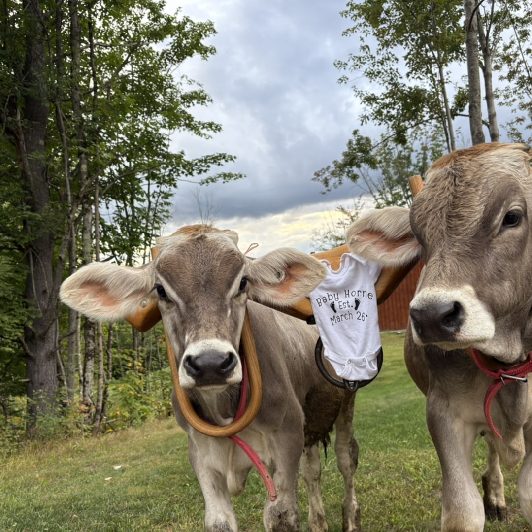 Photo shared by Kimberly for their Babylist baby registry.