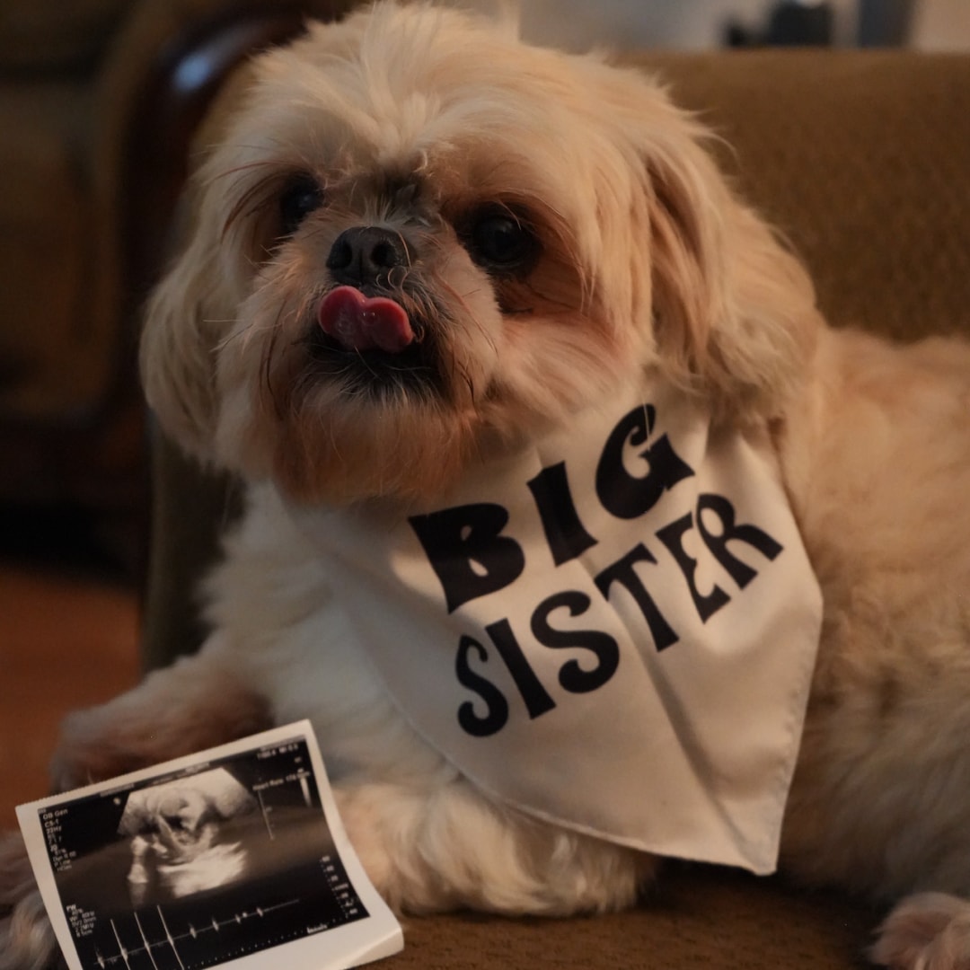 Photo shared by Jelly Ann for their Babylist baby registry.