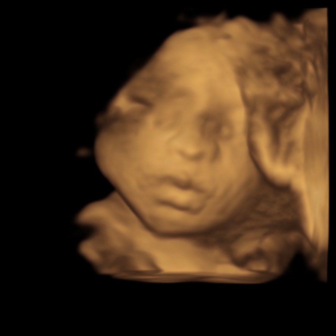 Photo shared by Abigail for their Babylist baby registry.