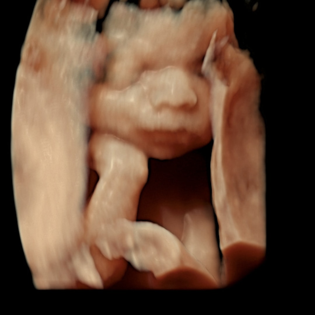 Photo shared by Jenna for their Babylist baby registry.