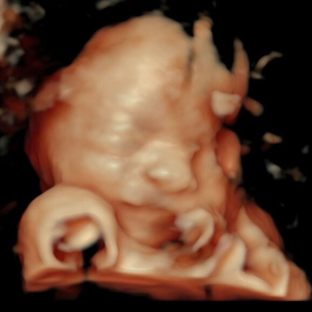 Photo shared by Jennifer for their Babylist baby registry.