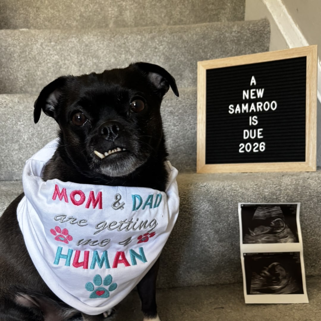 Photo shared by Abby for their Babylist baby registry.