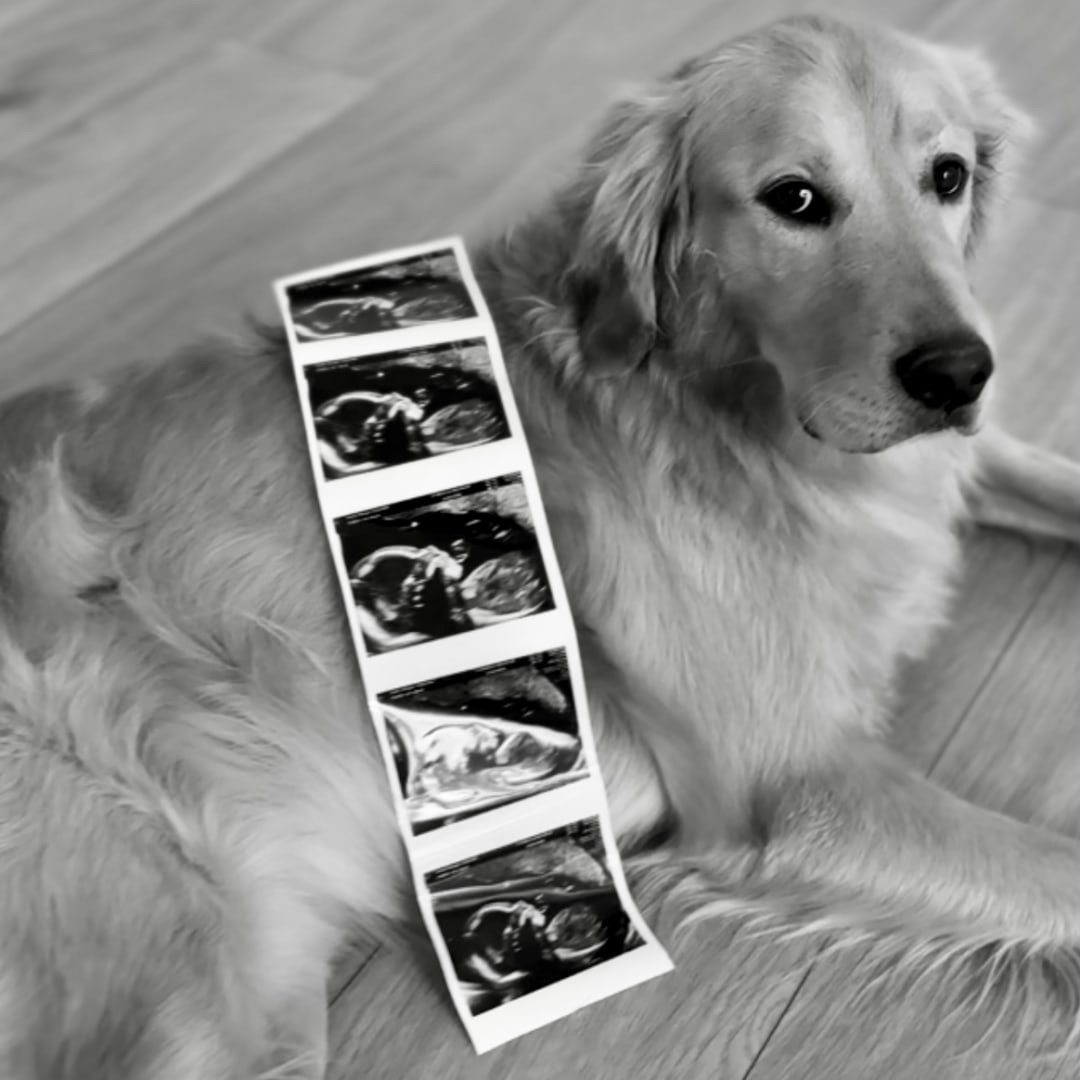 Photo shared by Morgan for their Babylist baby registry.