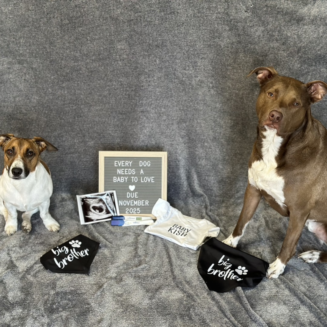 Photo shared by Cassie for their Babylist baby registry.